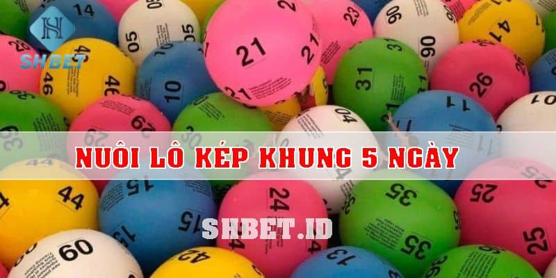 dấu hiệu báo về đề kép