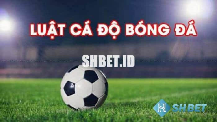 luật cá độ bóng đá