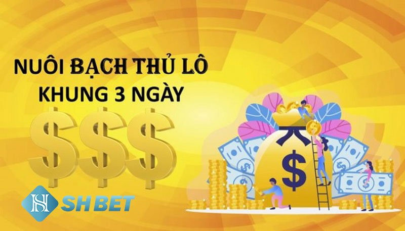 Cách nuôi lô bạch thủ khung 3 ngày siêu chuẩn